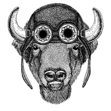 Cute animal wearing motorcycle, aviator helmet Buffalo, bison,ox, bull Hand drawn image for tattoo, emblem, badge logo patch