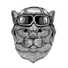 Animal wearing aviator helmet with glasses. Vector picture. Brithish noble cat Male Hand drawn image for tattoo, emblem, badge, logo, patch