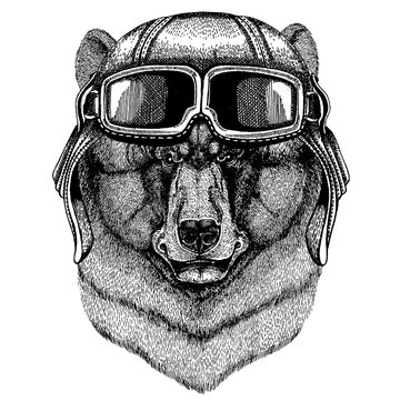 Animal wearing aviator helmet with glasses. Vector picture. Black bear Hand drawn illustration for tattoo, t-shirt, emblem, badge, logo, patch