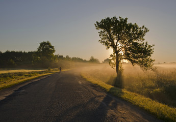 Obraz na płótnie Canvas Foggy sunrise in the village 