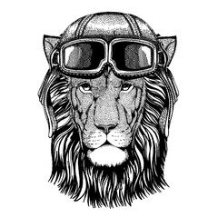 Wild lion. Animal wearing aviator helmet with glasses. Vector picture.