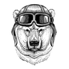 Animal wearing aviator helmet with glasses. Vector picture. Big polar bear, White bear Hand drawn illustration for tattoo, t-shirt, emblem, badge, logo, patch