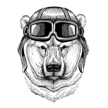 Animal wearing aviator helmet with glasses. Vector picture. Big polar bear, White bear Hand drawn illustration for tattoo, t-shirt, emblem, badge, logo, patch