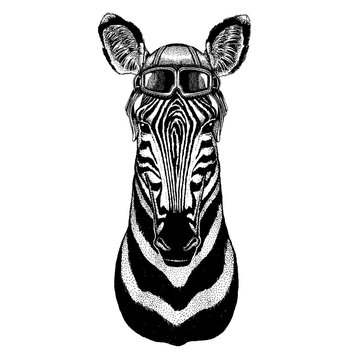 Animal wearing aviator helmet with glasses. Vector picture. Zebra, Horse Hand drawn illustration for tattoo, emblem, badge, logo, patch