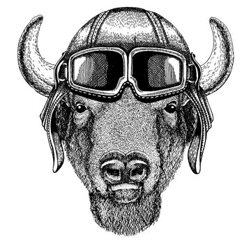 Animal wearing aviator helmet with glasses. Vector picture. Buffalo, bison,ox, bull Hand drawn image for tattoo, emblem, badge, logo, patch