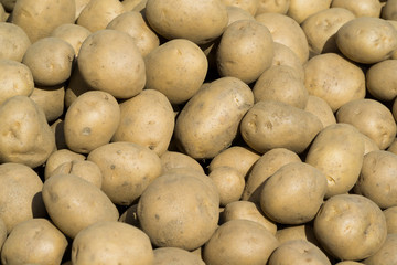 As shot fresh potato photo at market place