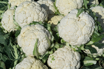 As shot fresh cauliflower photo at market place