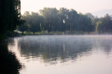 Calm lake with mist in the morning. Landscape with lake and light fog in park. Morning on the lake.