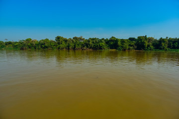 River landscape  and jungle,Pantanal, Brazil