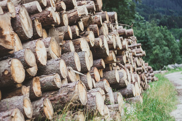 pile of logs