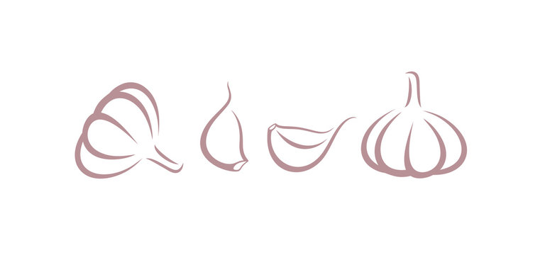 Garlic logo. Isolated garlic on white background