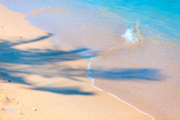 Fototapeta na wymiar Sandy beach with palm shadow and a foam on a small wave