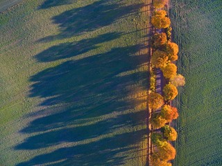 Aerial view of country road with colorful maple trees through the hilly terrain during the autumn season, Mazury, Poland