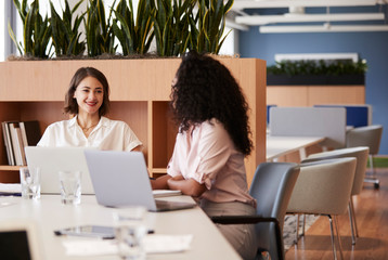Two Businesswomen Working On Laptops Sitting At Table In Modern Open Plan Office