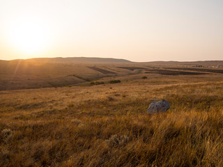 Obraz premium Fields of gold