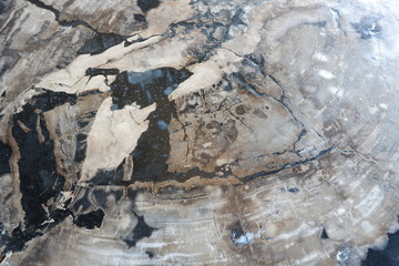 textures from fossilized wood