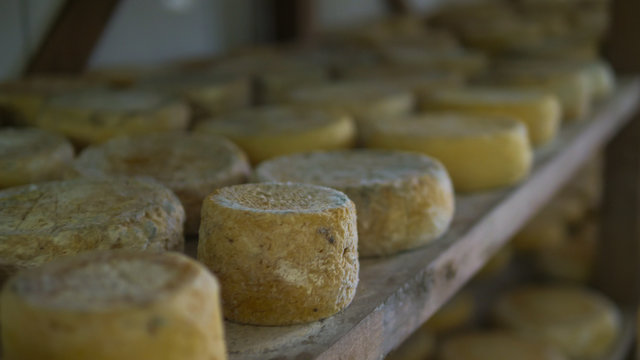 Production of Serro cheese in Minas Gerais