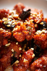 seasoned spicy chicken 