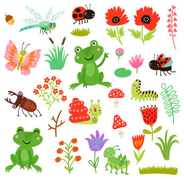 Frog and insects vector set