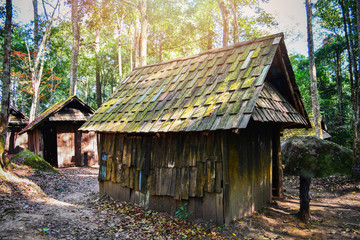 Fototapeta na wymiar Old historic village wooden house cabin cottage in the green forest with tree surround