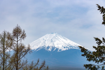 Close-up snow covered Mount Fuji ( Mt. Fuji ) in blue sky background on sunny winter season. Fujiyoshida City, Yamanashi Prefecture, Japan
