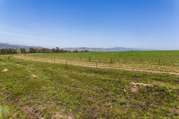 Fototapeta na wymiar Farmlands around the town of Creighton, South Africa.