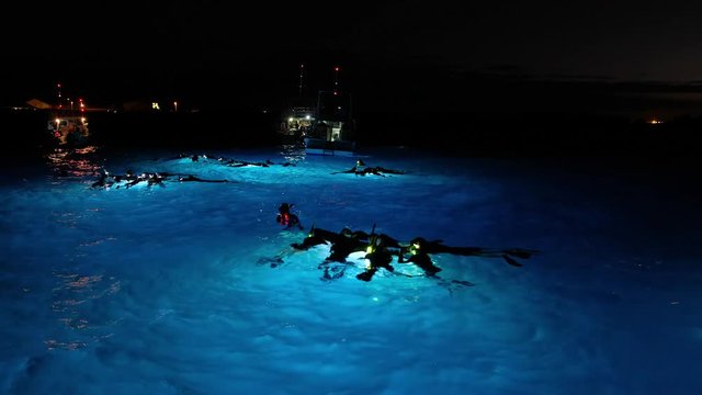 Group of people floats on the surface of the ocean highlighted by bottom light during famous night snorkeling with mantas trip on the Big Island, Hawaii. Clip contains some noise