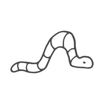 Worm Drawing Images – Browse 16,273 Stock Photos, Vectors, and Video |  Adobe Stock