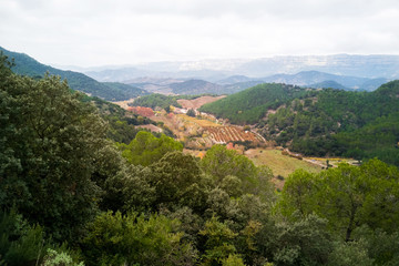 Fototapeta na wymiar Valle visto desde lo alto con cultivos agrícolas otoñal entre bosques y sierra montañosa. Provincia de Tarragona. Cataluña. España