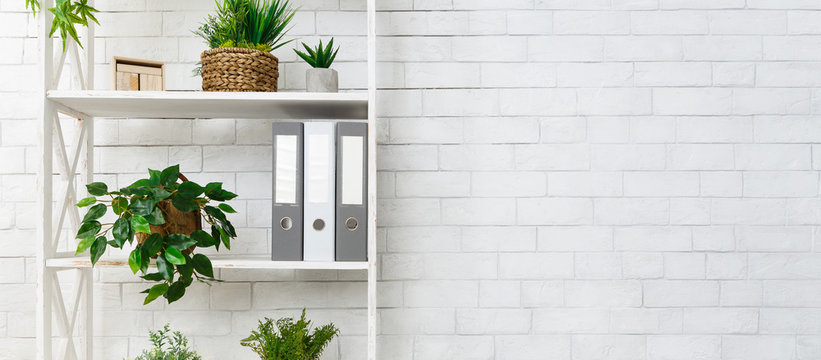White bookshelf with plants and folders over wall