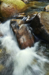 Beautiful tropical waterfall in lush surrounded by green forest.wet rock and moss.selective focus shot.