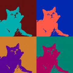 Colorful abstract frame, set of bright cat on diffrent backgrounds close-up. Pop art style