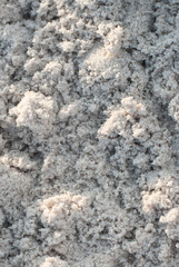 Sand texture. Sandy beach for background. Top view