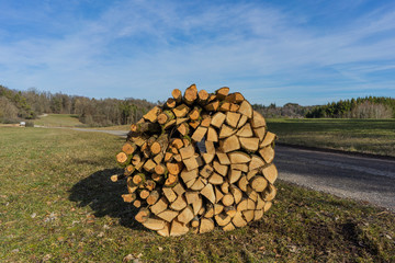 Sawn, split wood, trunks lie in the meadow.