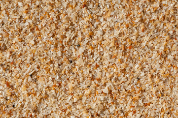 Sand texture. Sandy beach for background. Top view