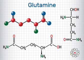 Glutamine (Gln , Q) amino acid molecule.  Structural chemical formula and molecule model. Sheet of paper in a cage.