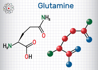 Glutamine (Gln , Q) amino acid molecule.  Structural chemical formula and molecule model