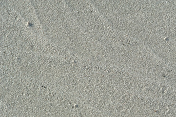 Sand texture. Sandy beach for background. Top view