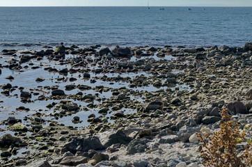 Life by seashore in Black sea Nessebar, Bulgaria