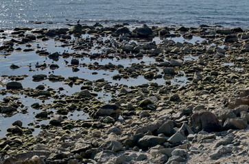 Life by seashore in Black sea Nessebar, Bulgaria