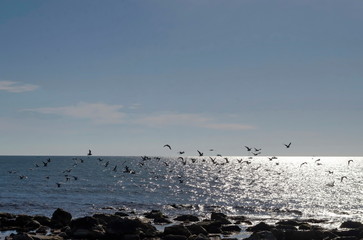 Life by seashore in Black sea Nessebar, Bulgaria
