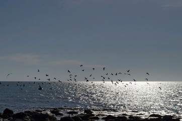 Life by seashore in Black sea Nessebar, Bulgaria