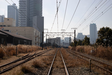 Fototapeta na wymiar 横浜の貨物線