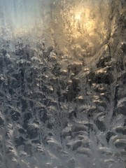 макросъемка