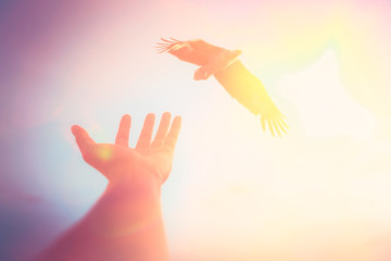 Freedom and feel good concept. Man hand open and eagle bird fly on sunset abstract background.