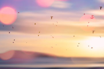 Birds flying over motion blur tropical sunset beach abstract abstract.