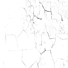 Grunge vector background