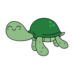 quirky hand drawn cartoon turtle