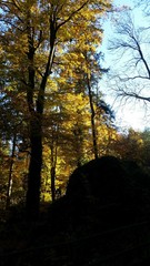 September Herbst in der Eifel