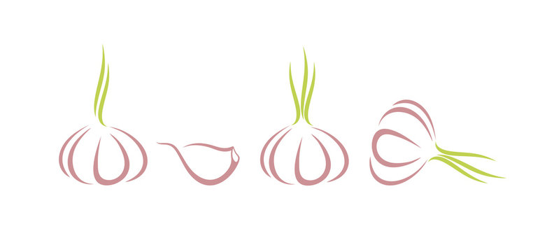 Garlic logo. Isolated garlic on white background